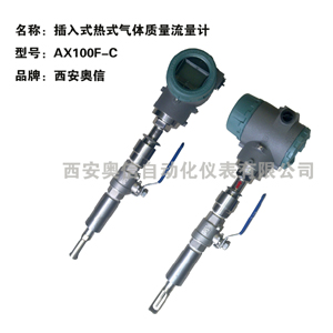 插入式热式气体质量流量计AXF100-C 插入式热式质量流量计AXF100-