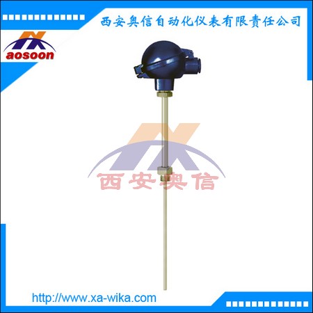 TR10-B威卡单支热电阻 可选保护套管 -200~600℃