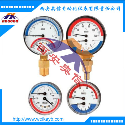 100.080温度压力计 WIKA威卡轴向温度压力计