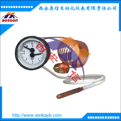 MFT温度计带毛细管 德国wika机械温度测量仪表