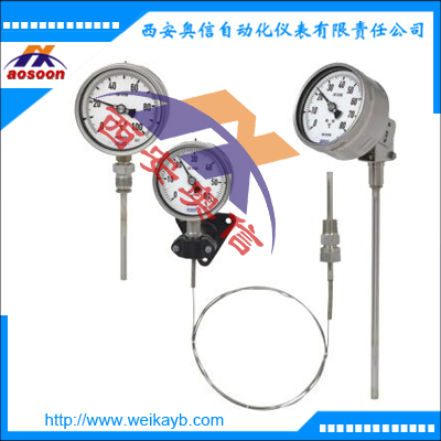 F73.100气包式温度计 德国WIKA威卡温度计