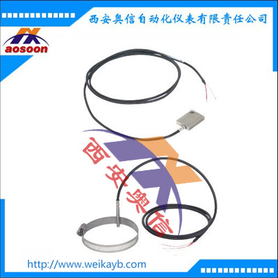 TR50表面安装热电阻温度计 wika电子温度仪表