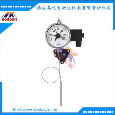 H70带微动开关和毛细管的膨胀式温度计wika温度开