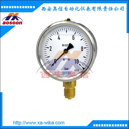 213.53.100 德国wika压力表波登管压力表