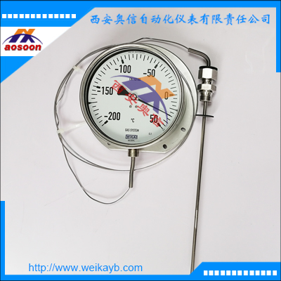 F73.100毛细管气包式温度计 双金属温度计 德国WIKA