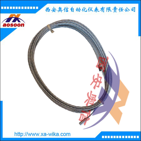 TR53威卡WIKA管道卡口式热电阻 wika温度传感器