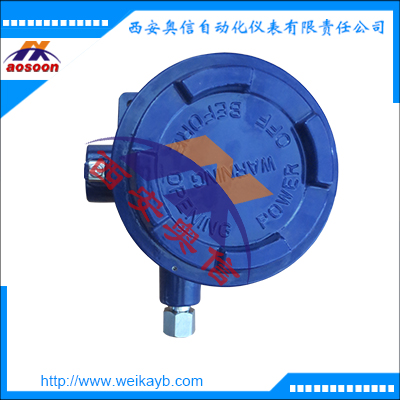 BADN wika防爆压力控制器 0.5%精度压力开关