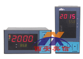 东辉大延牌DY2000温度巡检仪DY21D0208