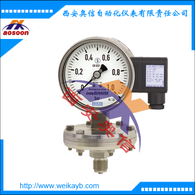 德国wika电信号压力表PGT43HP 威卡压力表