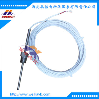 wika电缆式热电阻 德国WIKA威卡温度计TR40