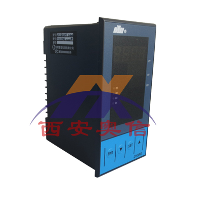 DY2000温度巡检仪\DY21D02244M\AC85-265V东辉大延